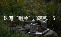 珠海“瞪羚”加速跑！57家企业上榜，新一代信息技术“领衔”