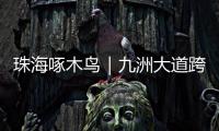 珠海啄木鸟｜九洲大道跨白石路桥路段已整改
！新增“均可直行 请勿停留”路牌