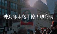 珠海啄木鸟｜惊
	！珠海情侣南路附近海面发现“油污”？真相竟是……
