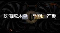 珠海啄木鸟｜孕期、产期
、哺乳期不可辞退  勇敢向“三期”侵权说“不”
！