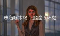 珠海啄木鸟｜追踪！环岛车辆“打架”，珠海交警启用新方案→