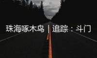 珠海啄木鸟｜追踪	
：斗门区乾务片区排水管建设工程 项目缺口资金已到位 力争今年年底完工