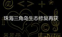珠海三角岛生态修复再获国家级认可，二次入选海洋保护典型案例​