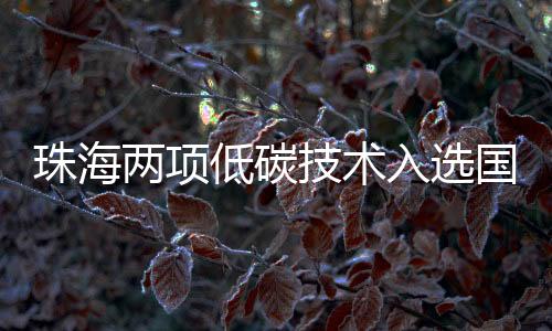 技术最终2项成功入选
