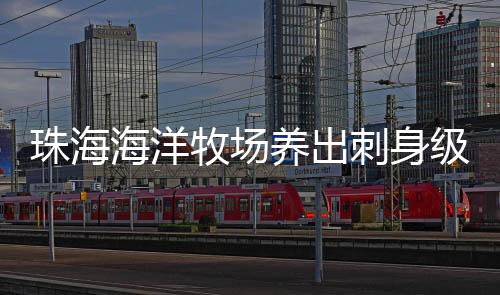 所以十分适合做刺身生鱼片
