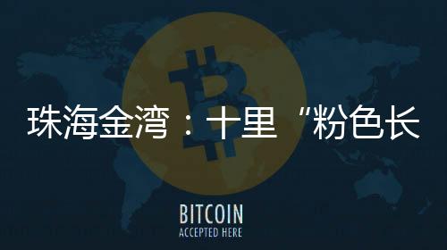 道路两侧宫粉紫荆竞相绽放