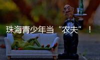 快排公司十年历程，霸屏兔 seo 的崛起与坚守