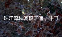 珠江流域河段开渔�，斗门河鲜抢“鲜”上市