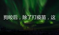 狗咬后，除了打疫苗，这些问题容易被忽视