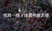 独具一格｜珠海养鱼太硬核�！CGTN记者直呼Amazing！
