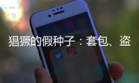 猖獗的假种子：套包、盗取、打假