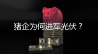 猪企为何进军光伏
？