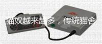 猫奴越来越多，传统猫舍却开不下去了	？