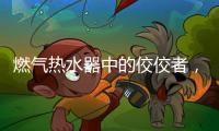燃气热水器中的佼佼者
�，用先进技术解决洗浴烦恼