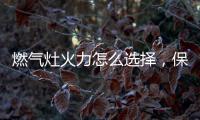燃气灶火力怎么选择，保留营养还成就美味!
