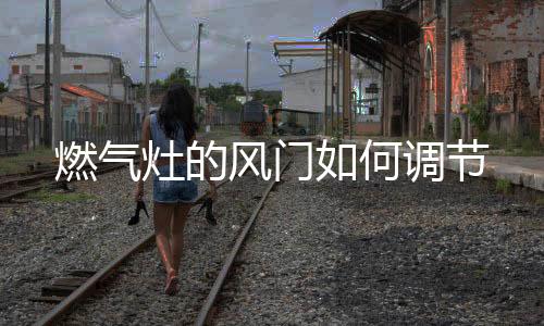 也是何调最省燃气的