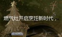 燃气灶开启烹饪新时代�，丰蓝1号燃气灶电池赋能美味佳肴