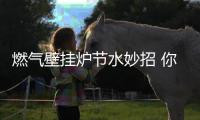 燃气壁挂炉节水妙招 你不得不知