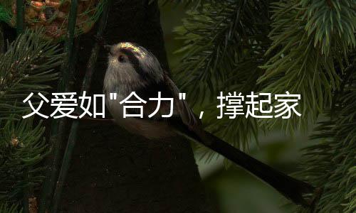 稳稳托起家的父爱责任