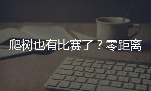 “攀椰竞速”