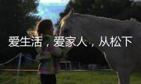爱生活，爱家人
�，从松下风暖浴霸开始