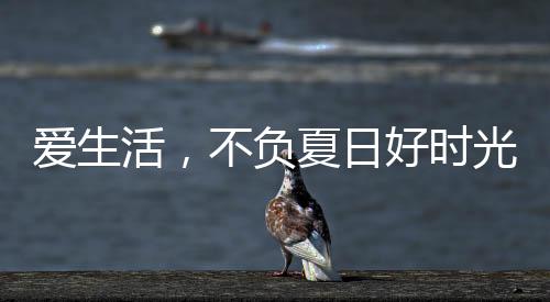 给自己的爱生活家换一个装