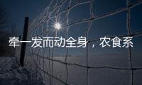 牵一发而动全身
，农食系统绿色转型谁在“突围”？｜2024企业双碳行动力调研