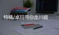 快排公司十年历程，霸屏兔 seo 的崛起与坚守