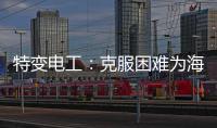 特变电工：克服困难为海 外居民带去福音