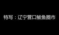 特写：辽宁营口鲅鱼圈市民以积极心态面对疫情