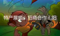 特产展销、招商合作！阳西把商务服务中心建在斗门