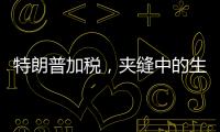 特朗普加税�，夹缝中的生意人怎么办
�？