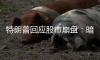 特朗普回应股市崩盘：暗示自己是“故意” �
，喊话美国人民“挺住”