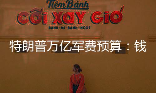 指议员或总统在拨款时
