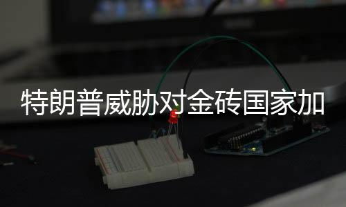 金砖加征交部合作共赢
