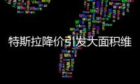 特斯拉降价引发大面积维权	：“价格屠刀”究竟砍向了谁�？