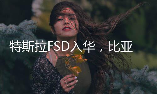 视觉中国/图2025年2月25日