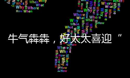 开门红此波实力圈粉