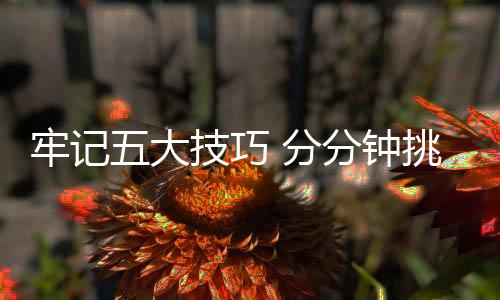 平滑质量好的挑选锁具