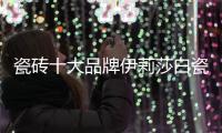 瓷砖十大品牌伊莉莎白瓷砖新品上市，让空间更大气