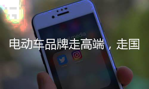 牌走不利于电动车产品创新