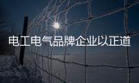 电工电气品牌企业以正道行其身	，从不懈怠寻新机