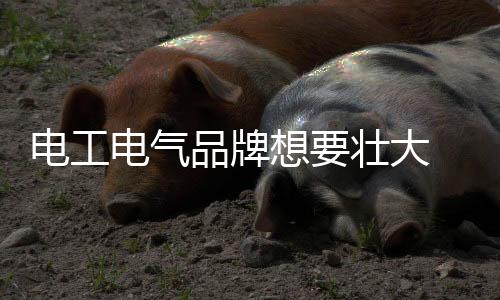 各品牌市场占有率等