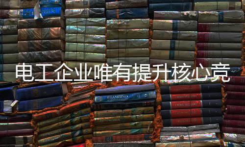一个逐渐成熟的电工得市行业