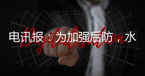 据《电讯报》的电讯报道