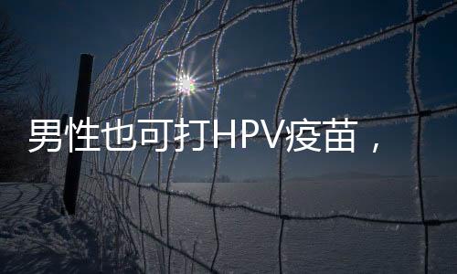 打H打出各地程序进展不同