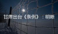 甘肃出台《条例》
	：明晰“责任田” 防治校园暴力及“校闹”