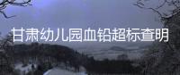 甘肃幼儿园血铅超标查明，后厨非法添加彩绘颜料｜周一健