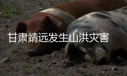 人员搜救、甘肃受强降雨影响
