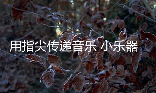 作为最年轻的尖传乐器